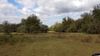 2400 SW Highway 484 photo